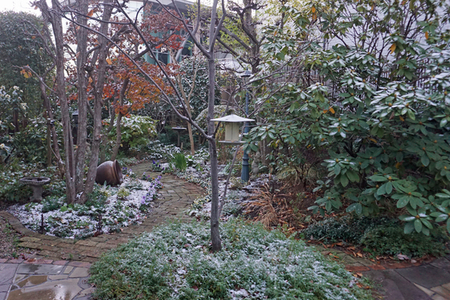 DSC00798.jpg