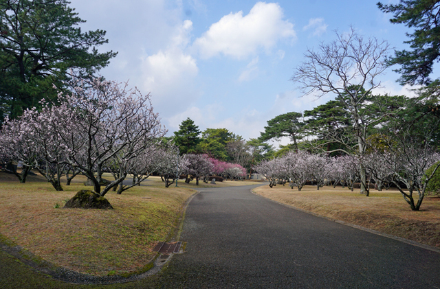 DSC01691.jpg