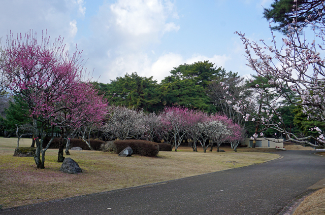 DSC01700.jpg