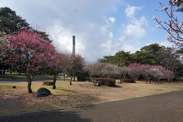 DSC01701.jpg