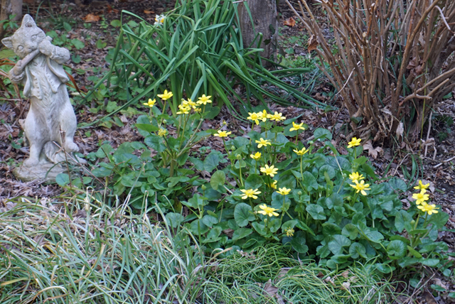 DSC01730.jpg