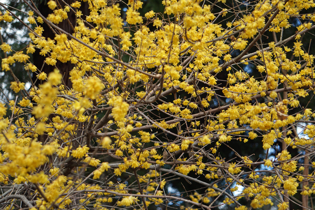 DSC05709.jpg