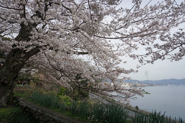 DSC06403.jpg