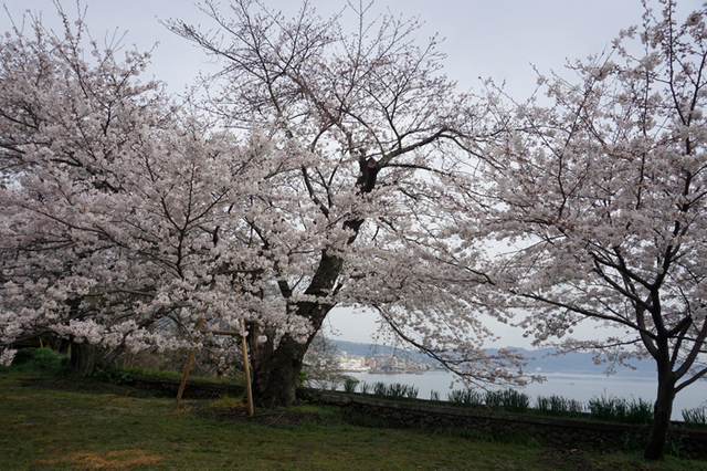 DSC06405.jpg