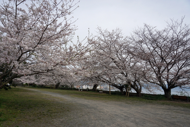 DSC06410.jpg
