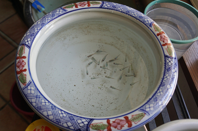 DSC06859.jpg