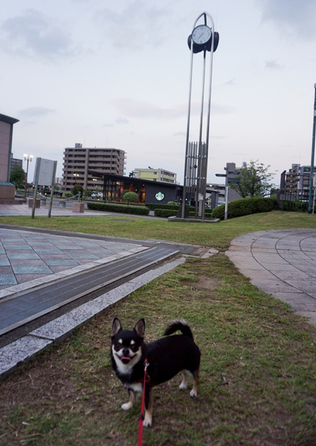 DSC07164.jpg