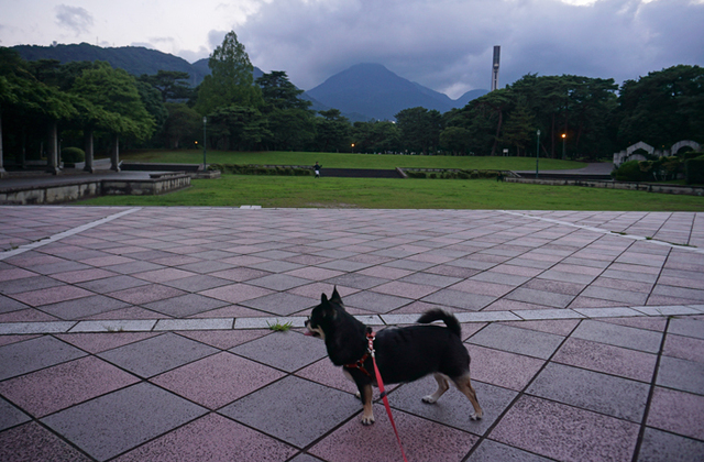 DSC07166.jpg