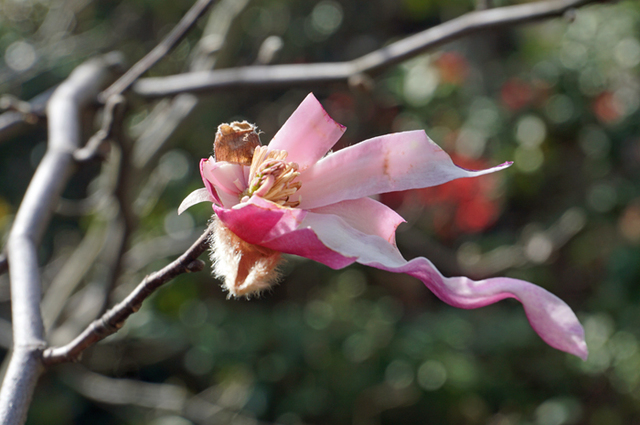 DSC07587.jpg