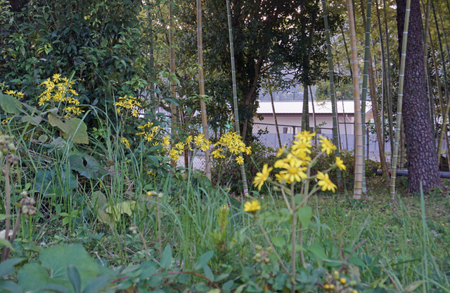 DSC07914.jpg