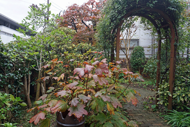 DSC07936.jpg