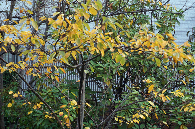 DSC07944.jpg