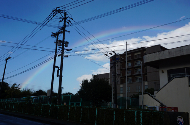 DSC07947.jpg